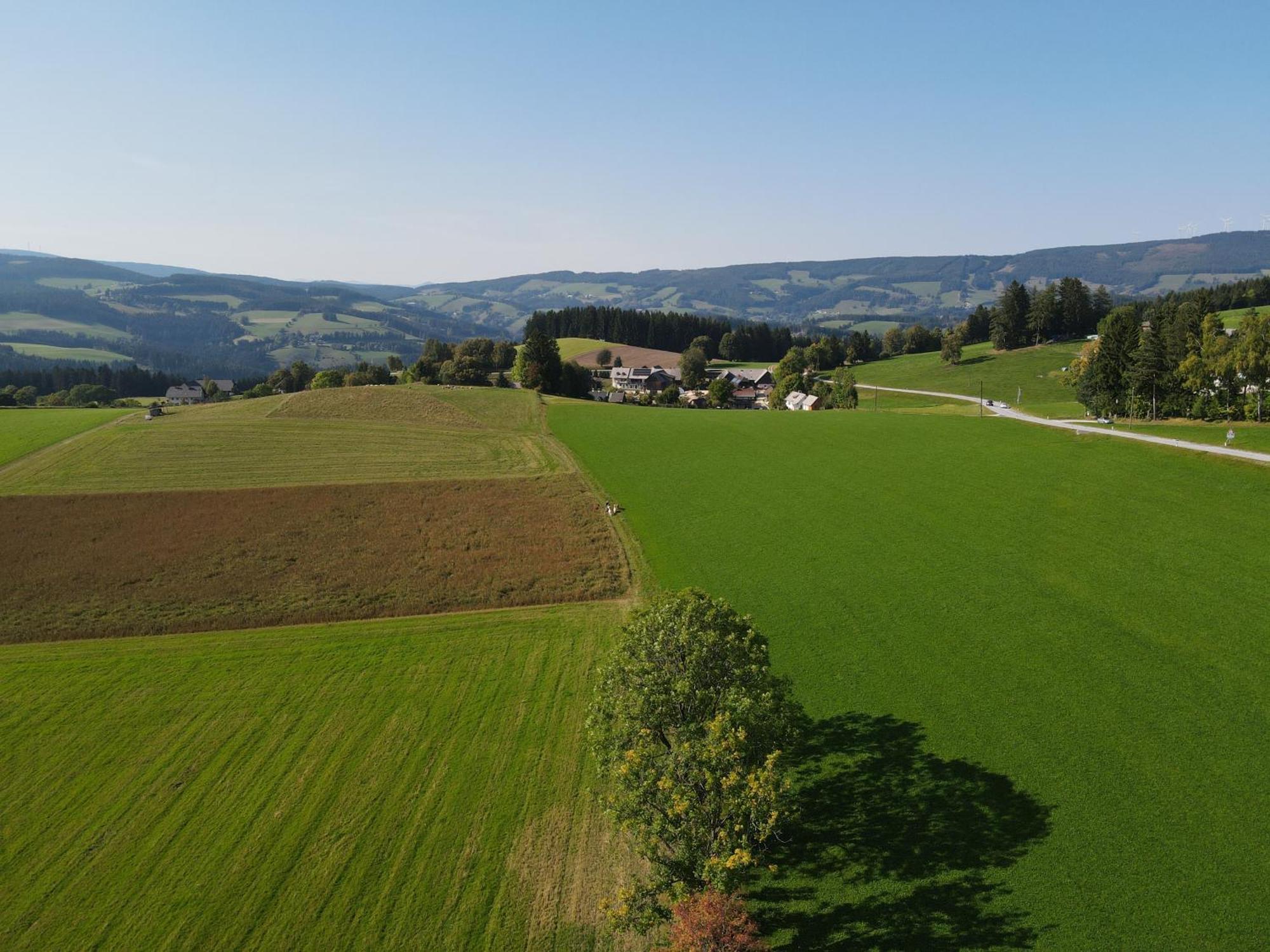 Biohof Kroisleitner Sankt Jakob im Walde Exterior photo