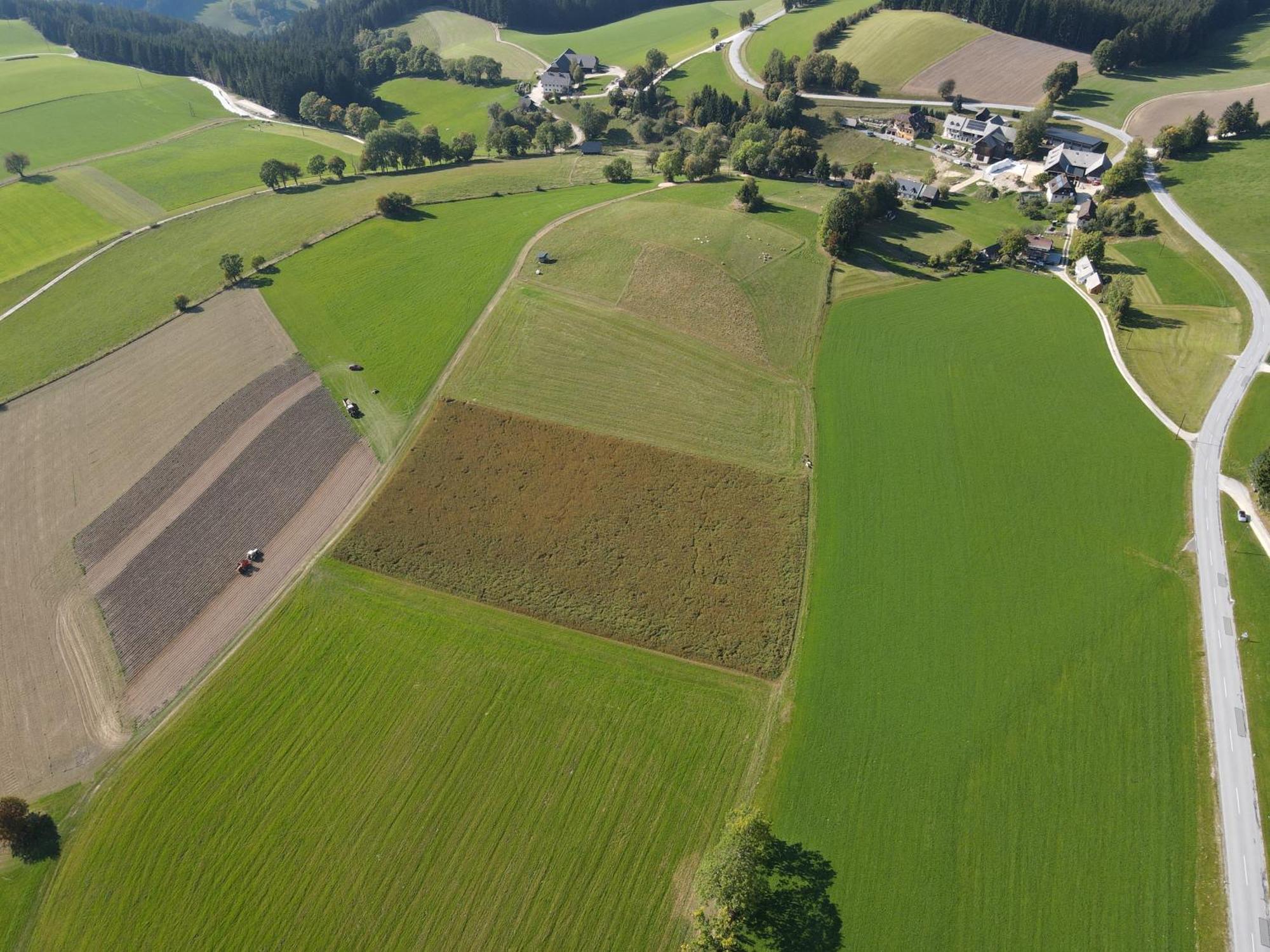 Biohof Kroisleitner Sankt Jakob im Walde Exterior photo