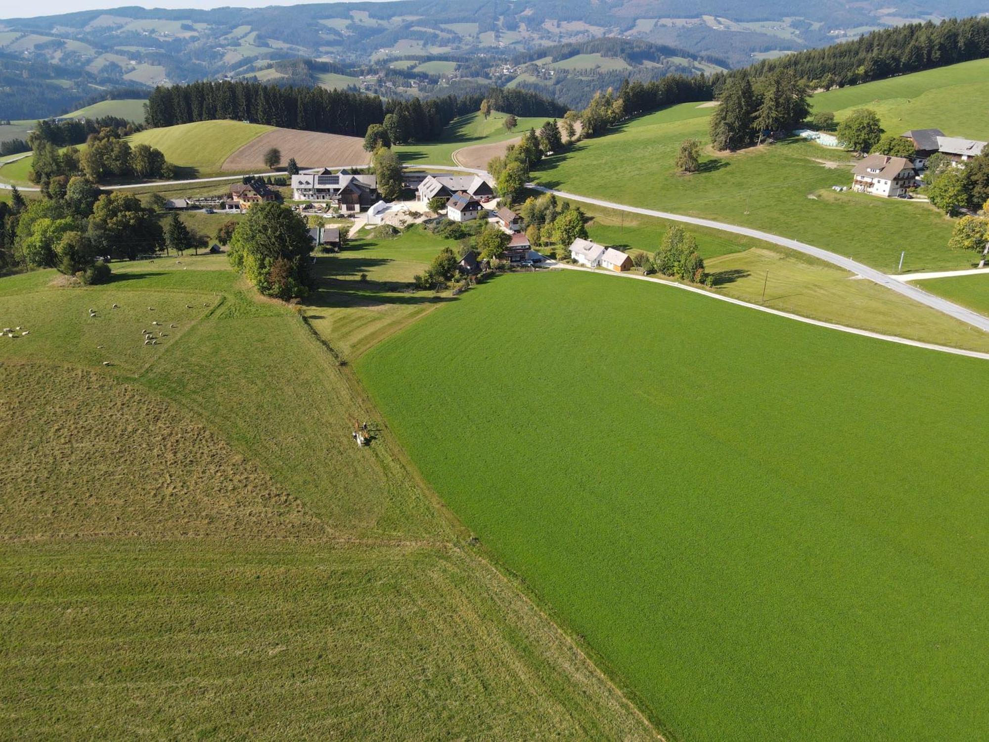 Biohof Kroisleitner Sankt Jakob im Walde Exterior photo