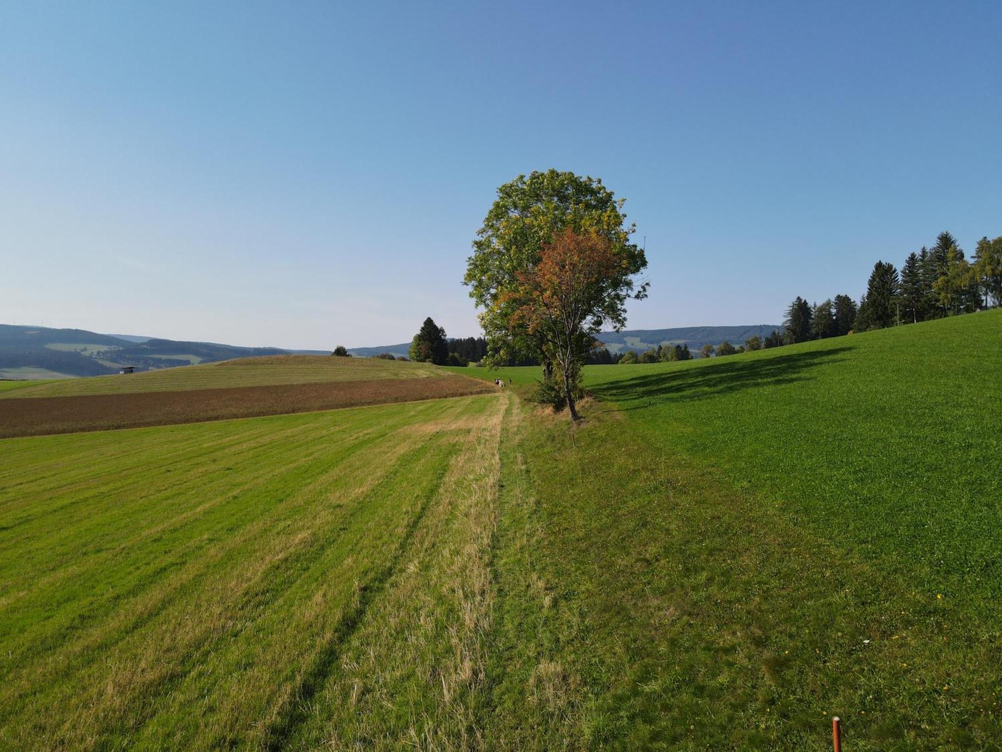 Biohof Kroisleitner Sankt Jakob im Walde Exterior photo